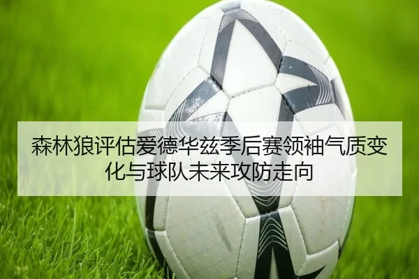 森林狼评估爱德华兹季后赛领袖气质变化与球队未来攻防走向
